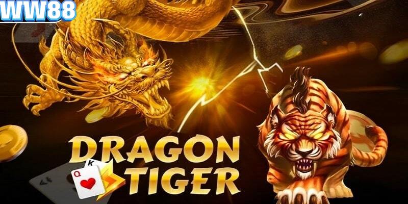 Khái niệm về rồng hổ mà bạn cần biết